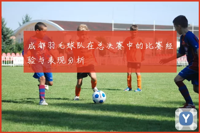 成都羽毛球队在总决赛中的比赛经验与表现分析
