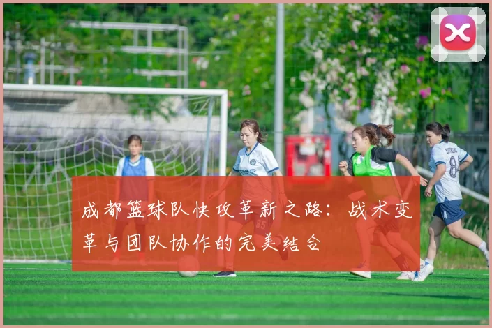 成都篮球队快攻革新之路：战术变革与团队协作的完美结合