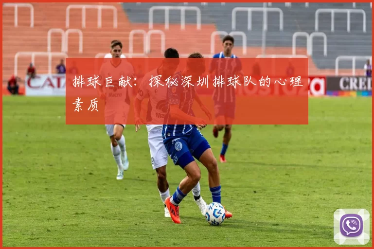 排球巨献：探秘深圳排球队的心理素质