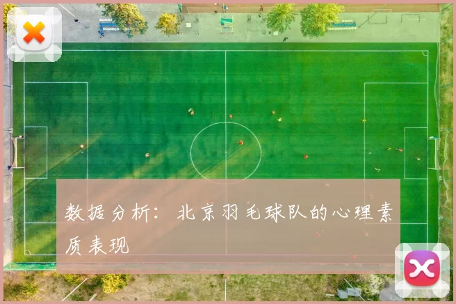 数据分析：北京羽毛球队的心理素质表现