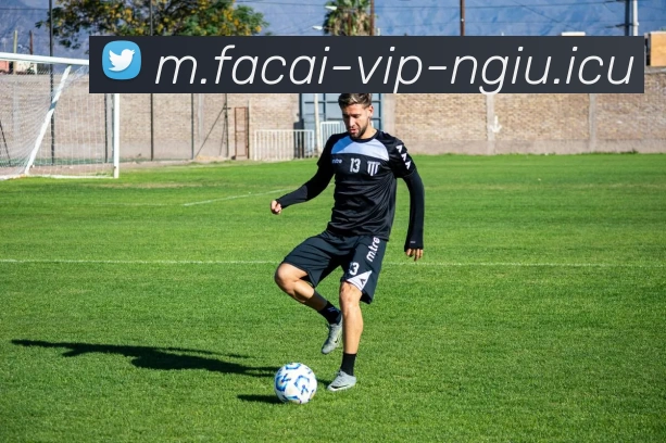 爱游戏体育APP 封面图